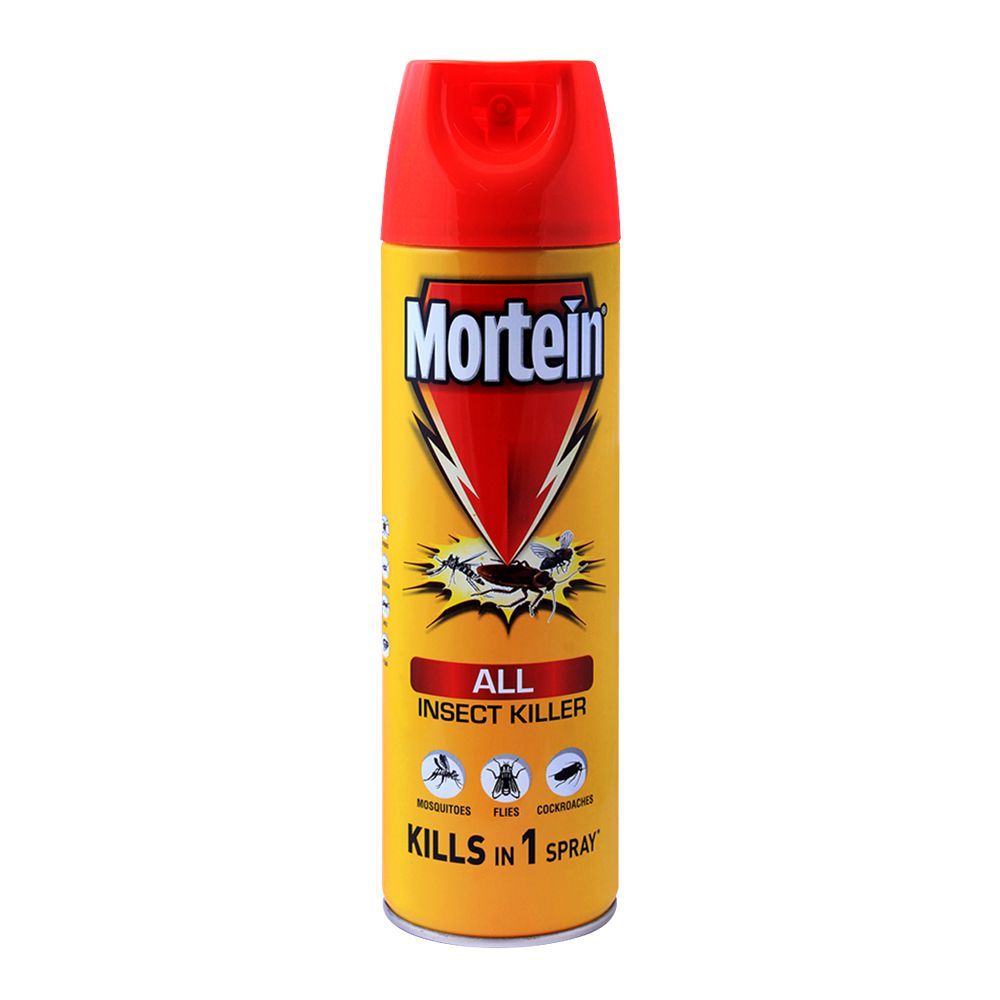 Mortein 300ml